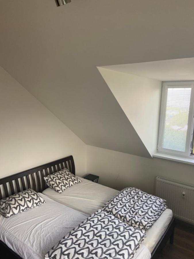 Appartamento Horsky Apartman Pod Jestedem Liberec Esterno foto