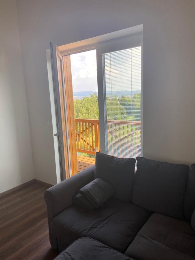 Appartamento Horsky Apartman Pod Jestedem Liberec Esterno foto