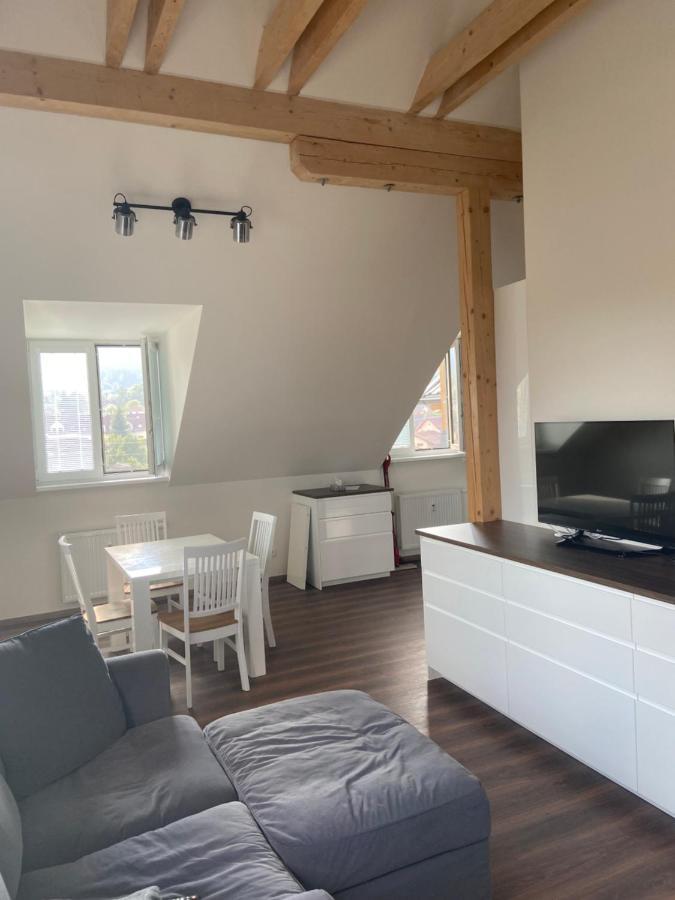 Appartamento Horsky Apartman Pod Jestedem Liberec Esterno foto